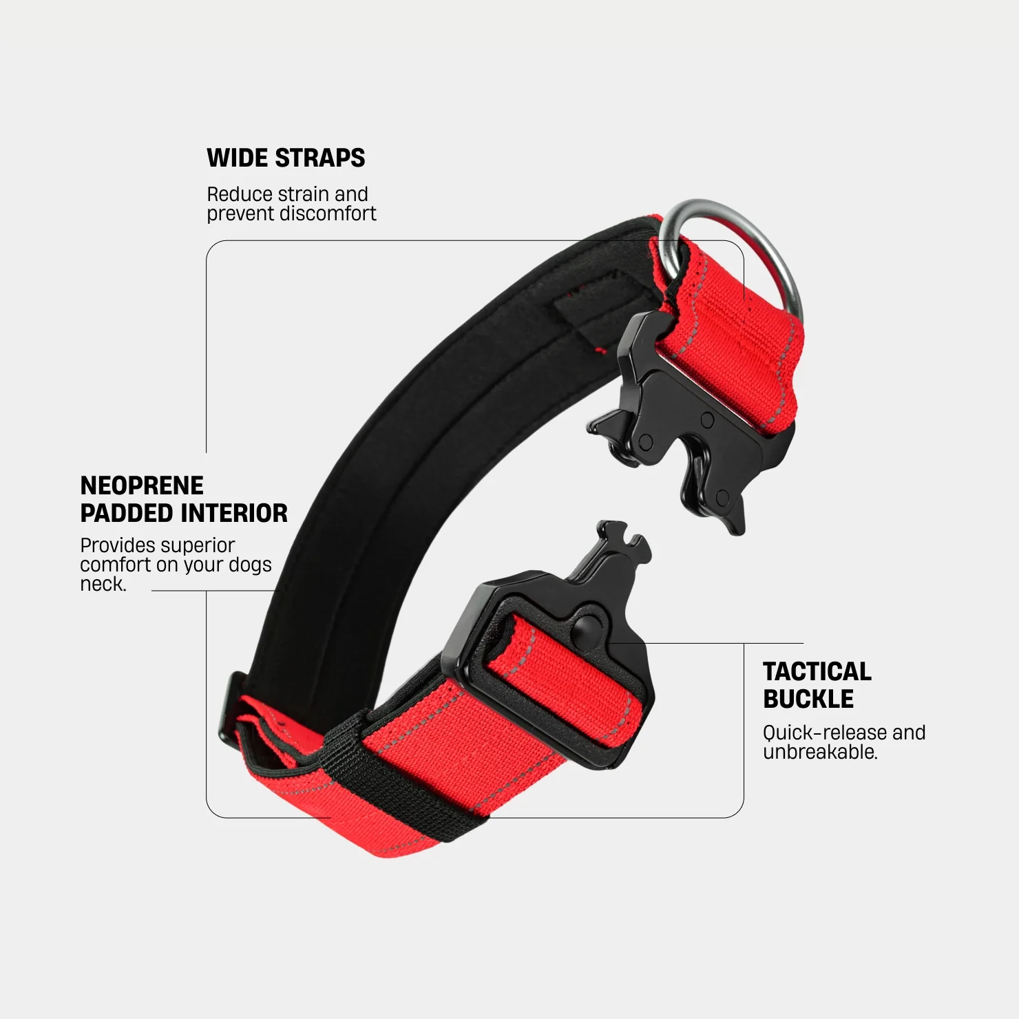 Collar Walk Set - Red - Image 3
