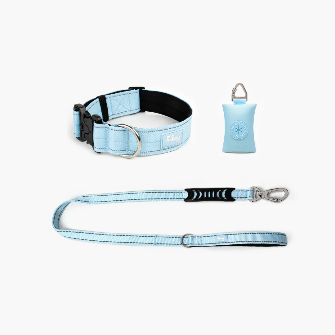 Collar Walk Set - Sky Blue - Image 10