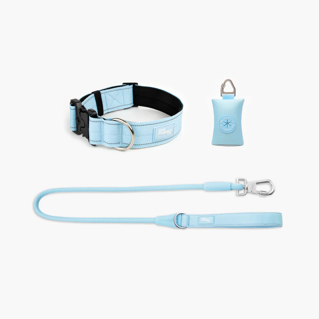 Collar Walk Set - Sky Blue - Image 16