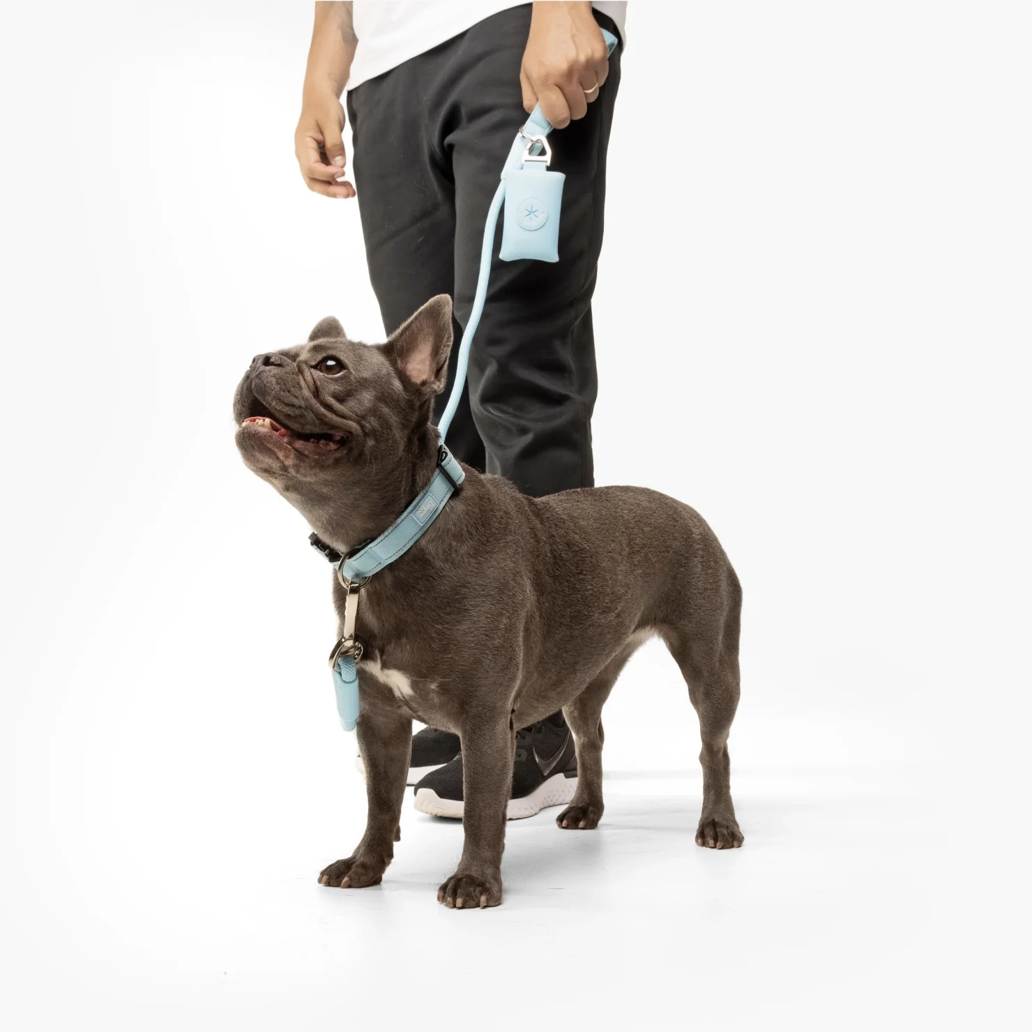 Collar Walk Set - Sky Blue - Image 4
