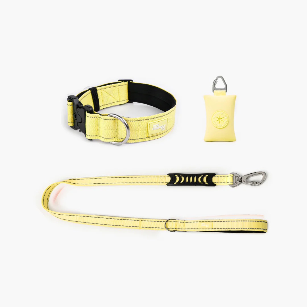 Collar Walk Set - Yellow - Image 10