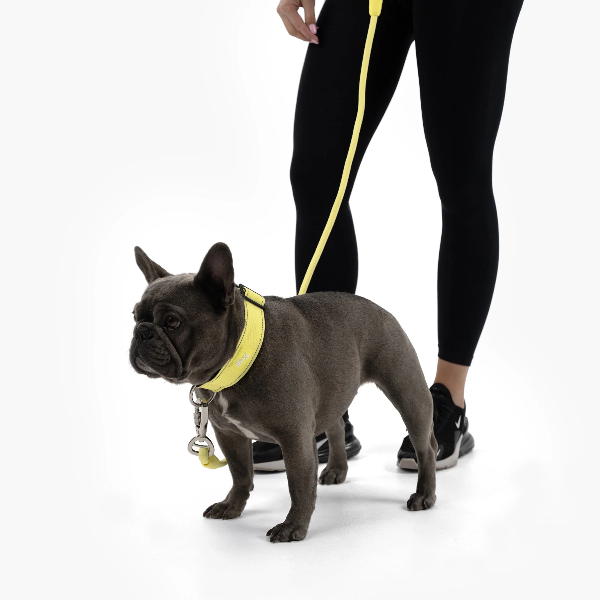 Collar Walk Set - Yellow - Image 11