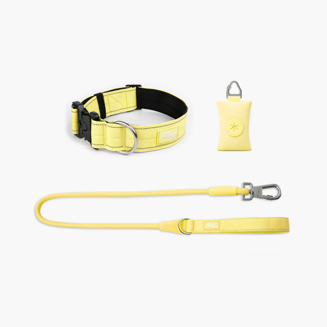Collar Walk Set - Yellow - Image 16