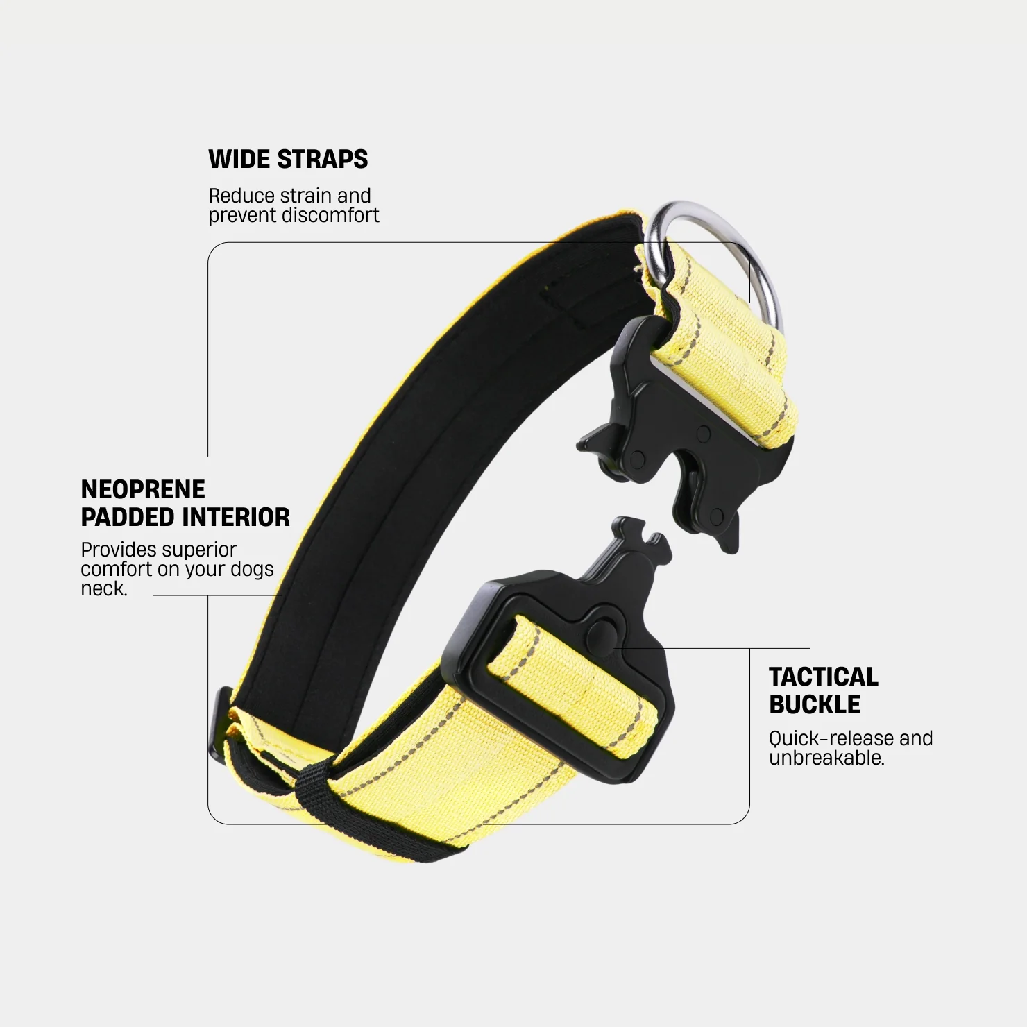 Collar Walk Set - Yellow - Image 3