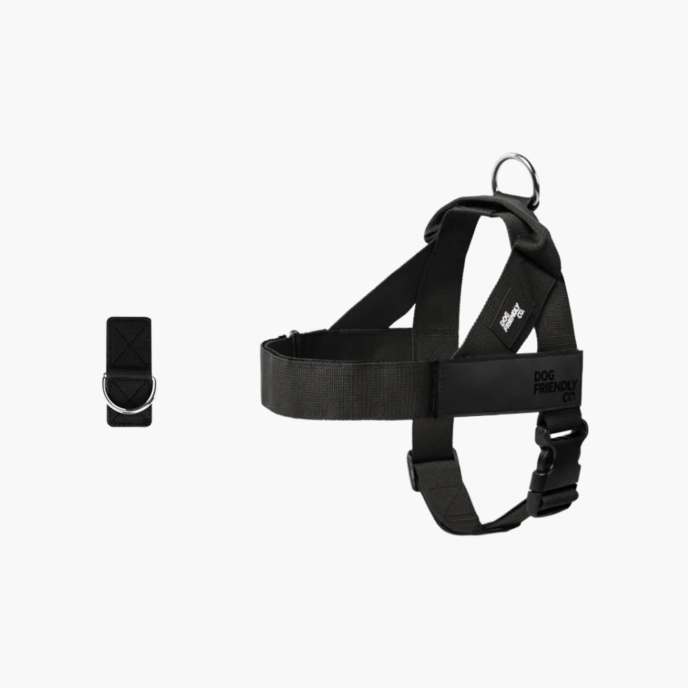 Dog Harness + FREE D-ring