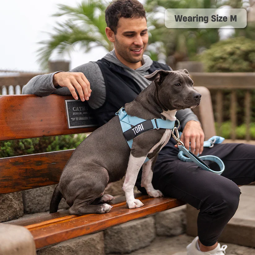 Dog Harness + FREE D-ring - Image 10
