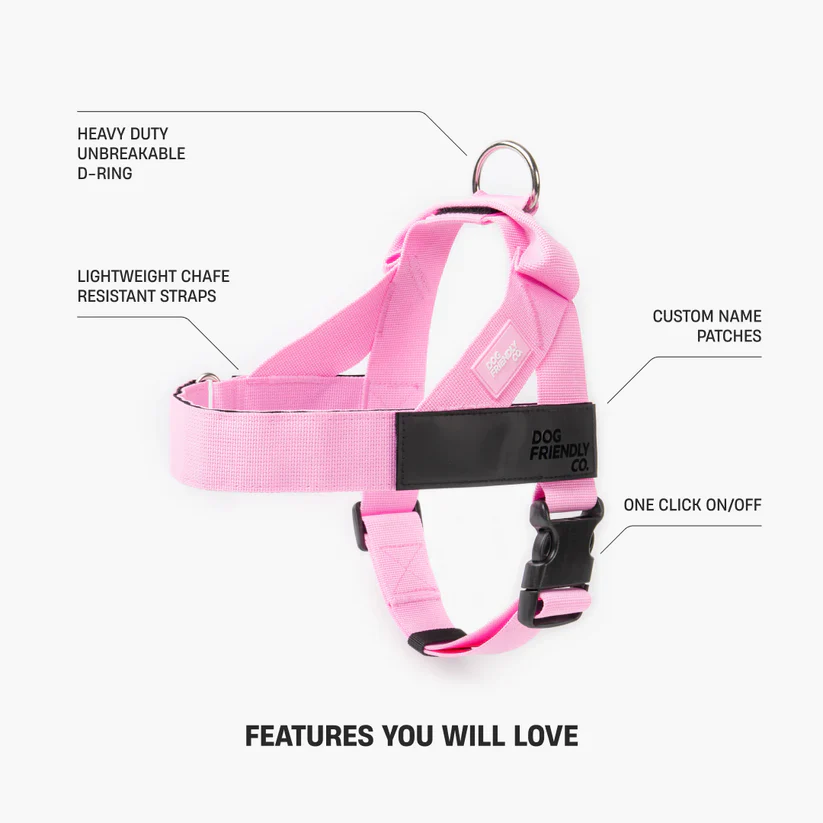 Dog Harness + FREE D-ring - Image 12