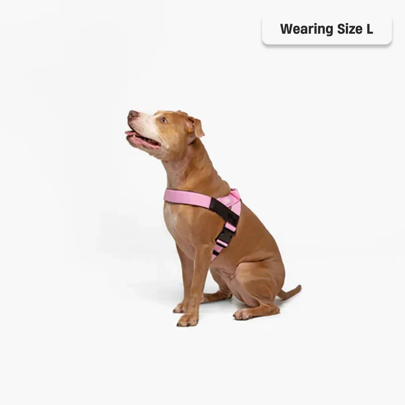 Dog Harness + FREE D-ring - Image 13