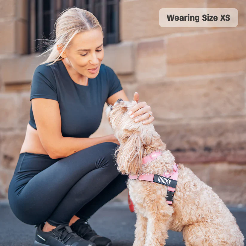 Dog Harness + FREE D-ring - Image 15