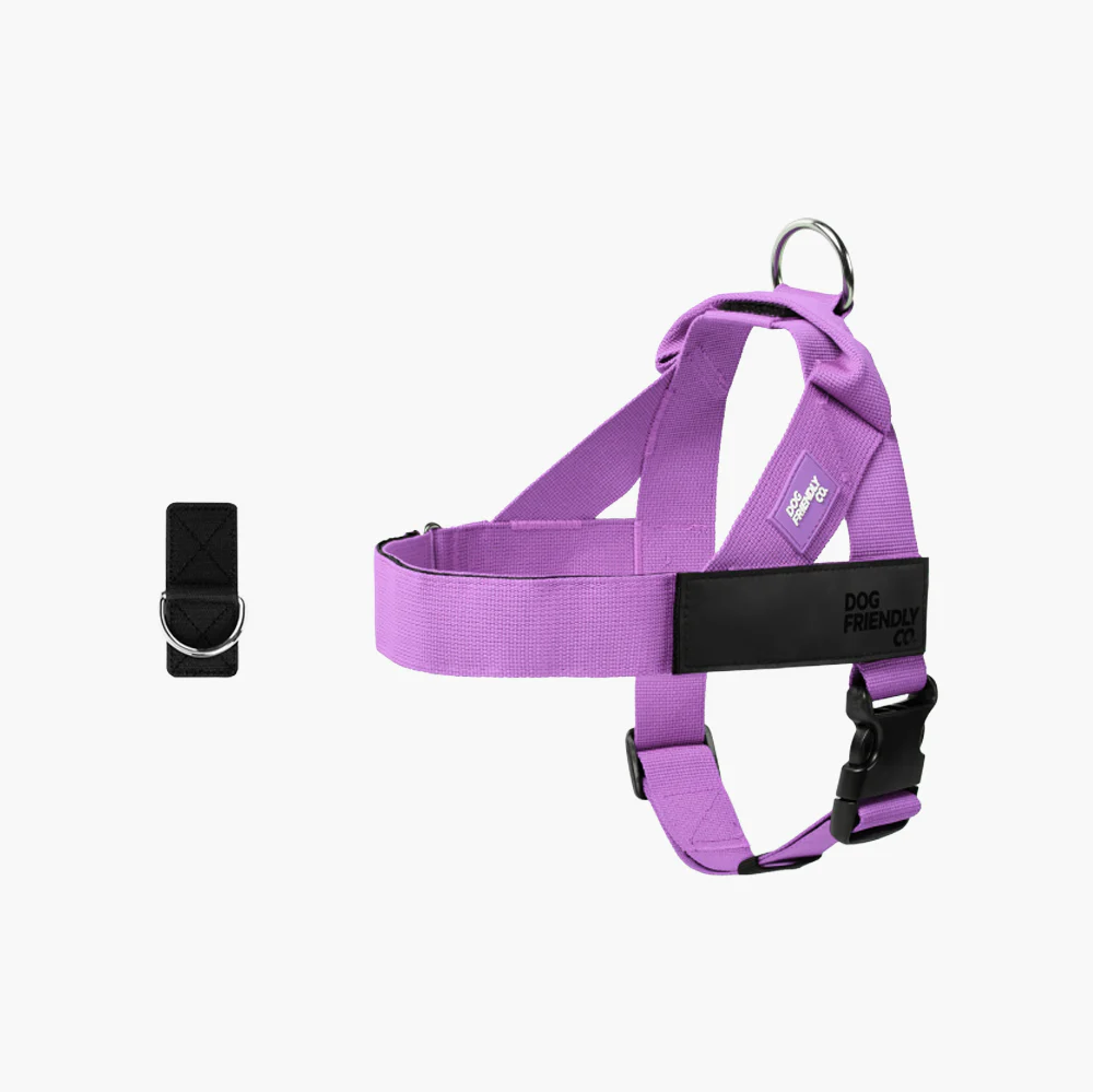 Dog Harness + FREE D-ring - Image 16