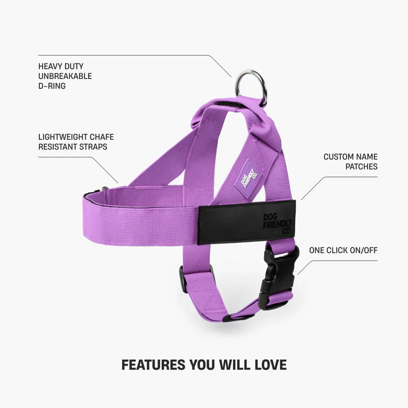Dog Harness + FREE D-ring - Image 17