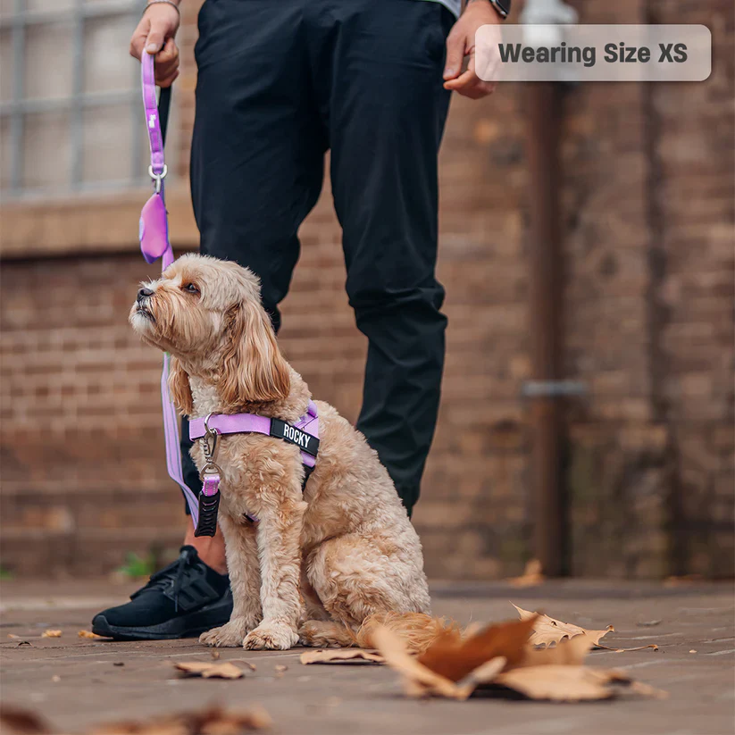 Dog Harness + FREE D-ring - Image 19