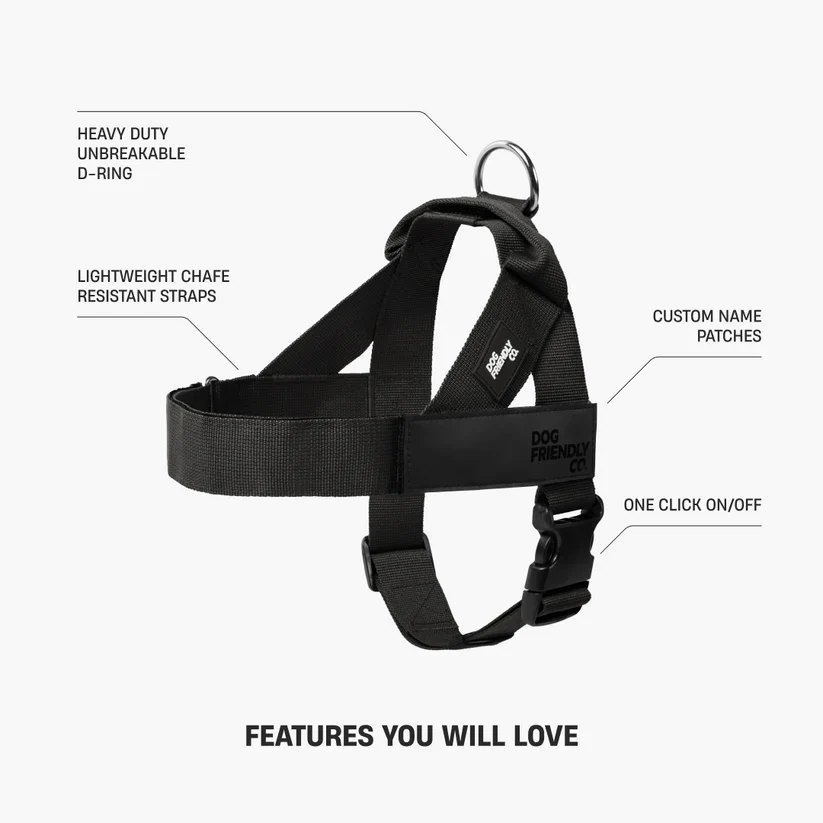Dog Harness + FREE D-ring - Image 2