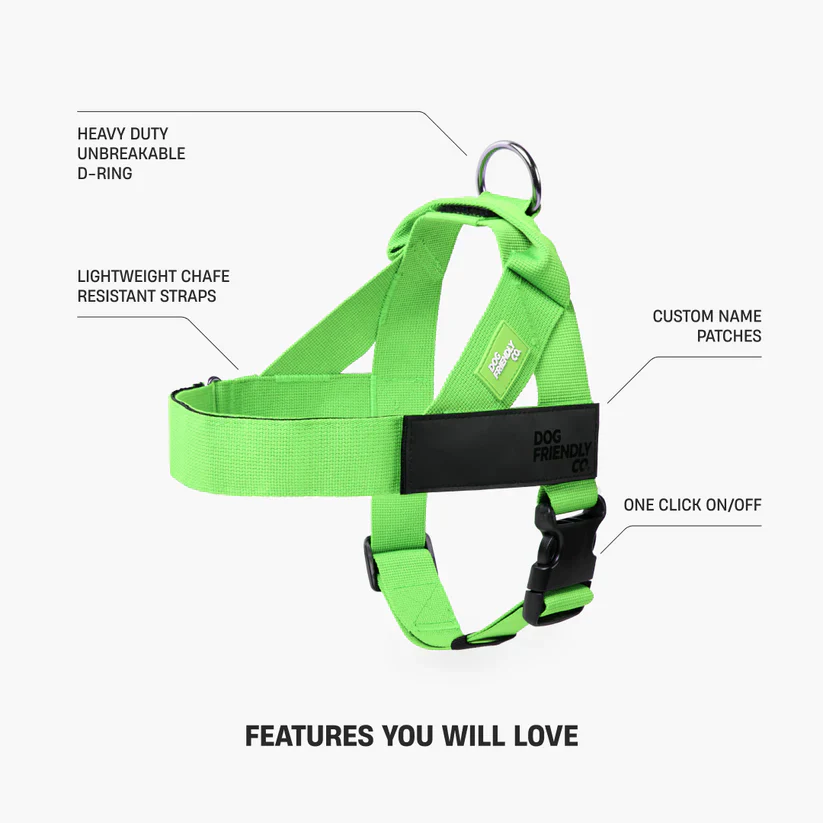 Dog Harness + FREE D-ring - Image 21