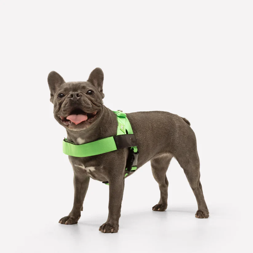 Dog Harness + FREE D-ring - Image 22
