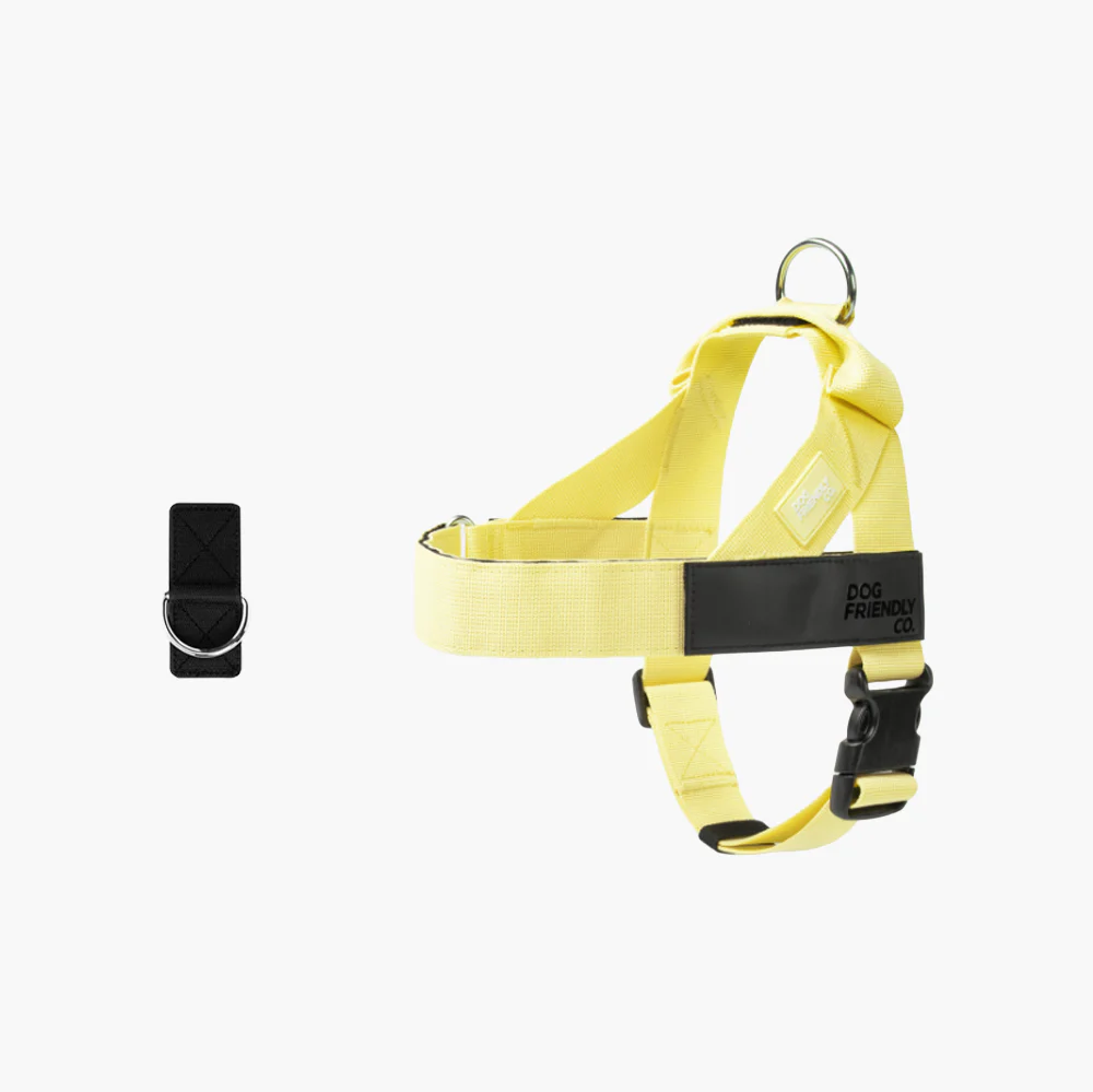Dog Harness + FREE D-ring - Image 25