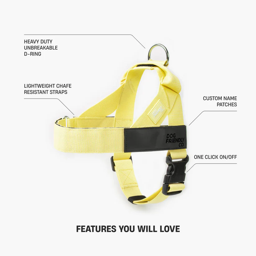 Dog Harness + FREE D-ring - Image 26