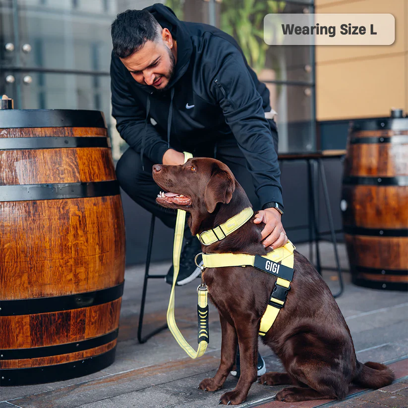 Dog Harness + FREE D-ring - Image 29