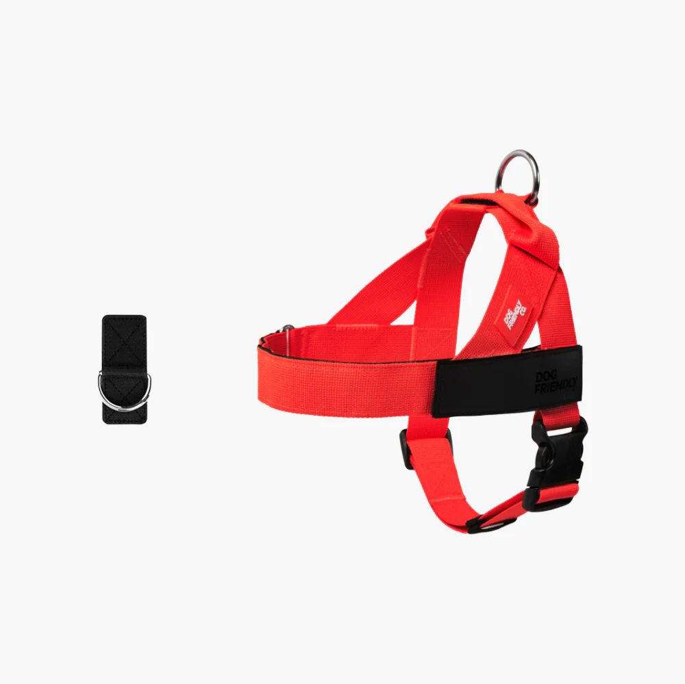 Dog Harness + FREE D-ring - Image 30