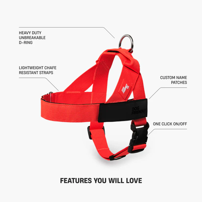 Dog Harness + FREE D-ring - Image 31