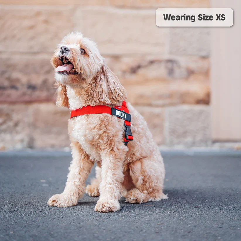 Dog Harness + FREE D-ring - Image 33