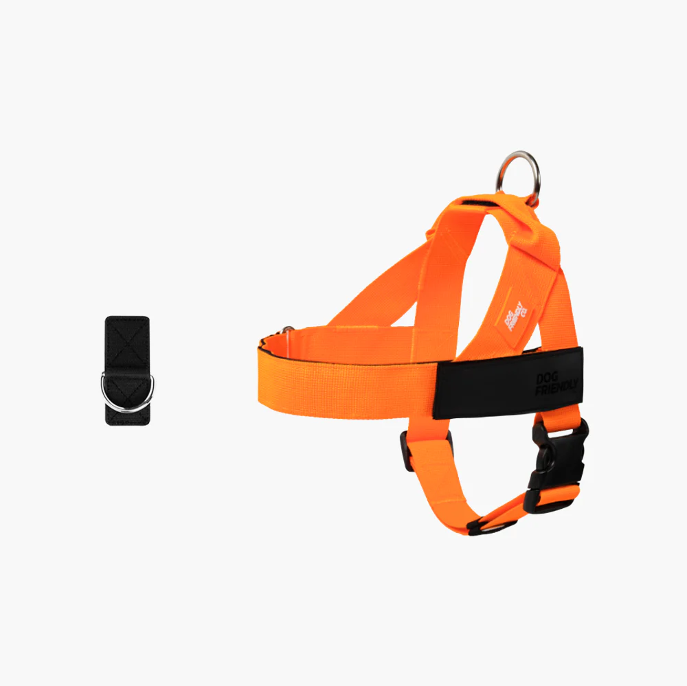 Dog Harness + FREE D-ring - Image 35