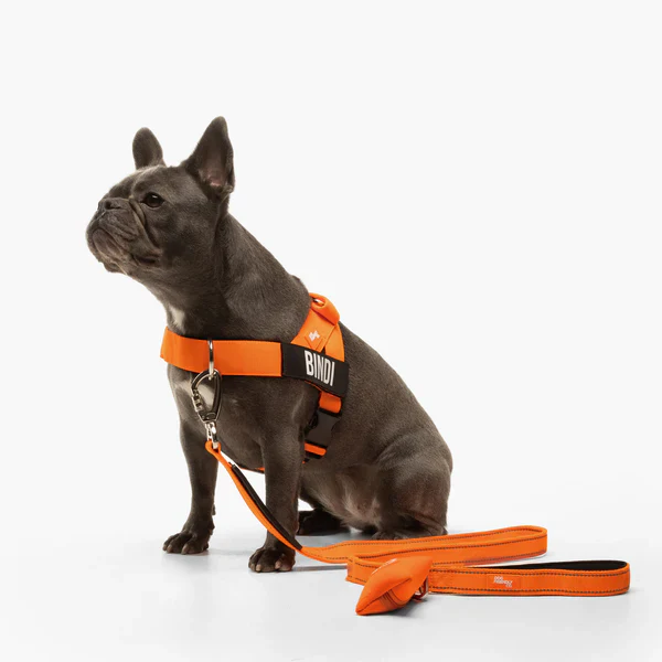 Dog Harness + FREE D-ring - Image 37