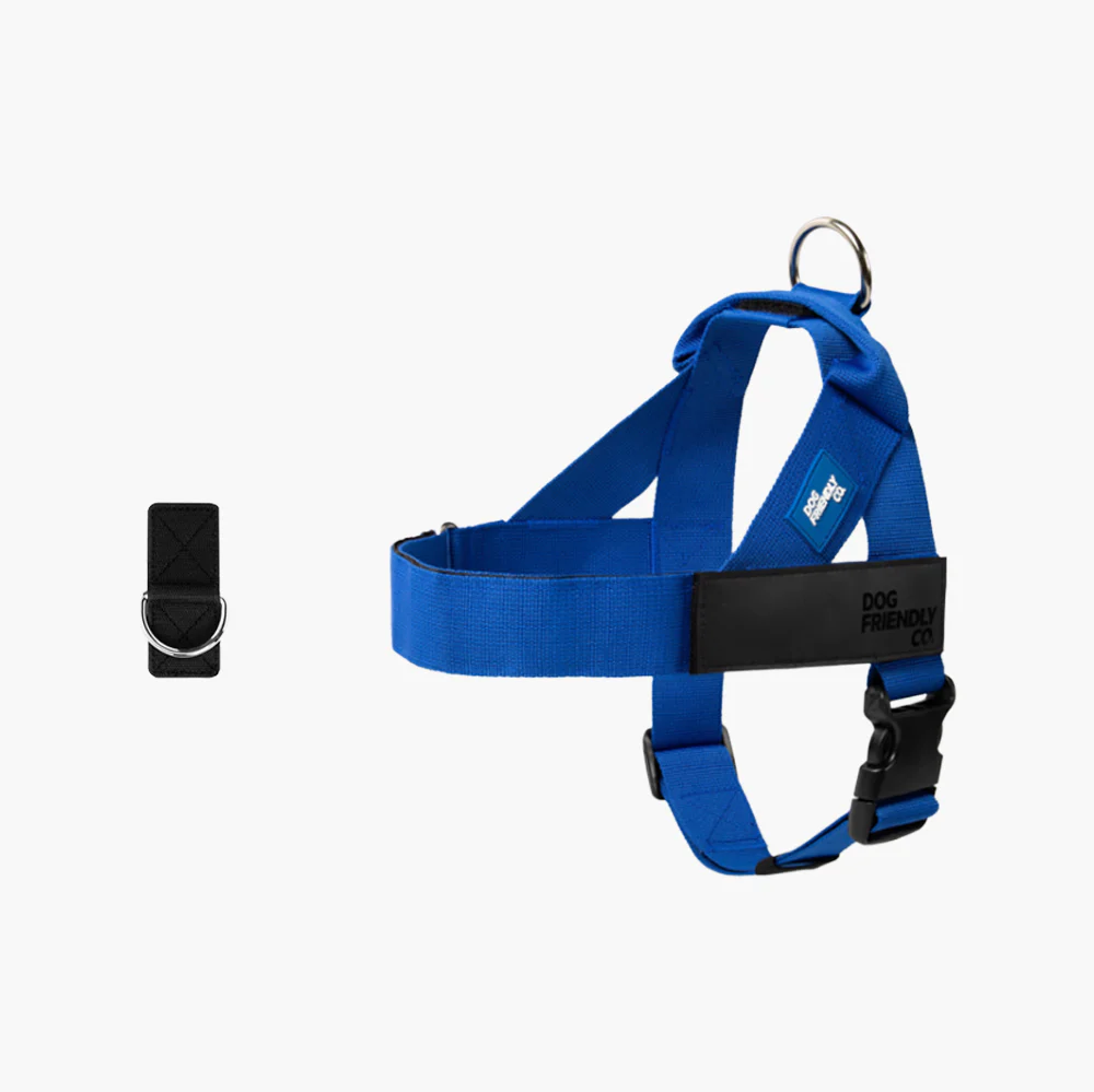 Dog Harness + FREE D-ring - Image 40
