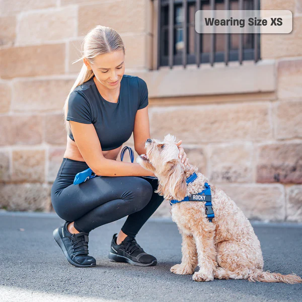 Dog Harness + FREE D-ring - Image 44
