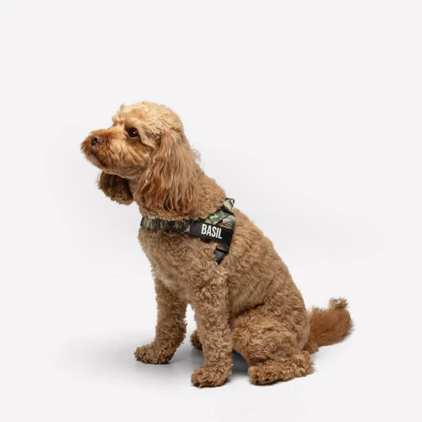 Dog Harness + FREE D-ring - Image 47