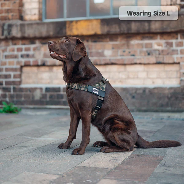 Dog Harness + FREE D-ring - Image 48