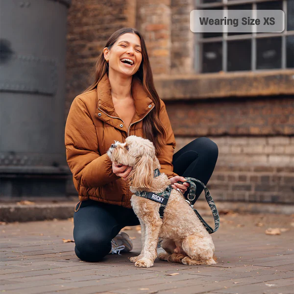 Dog Harness + FREE D-ring - Image 49