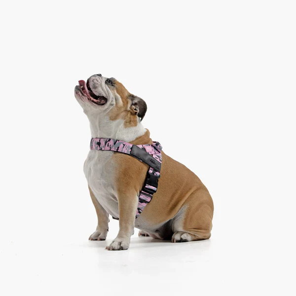 Dog Harness + FREE D-ring - Image 52