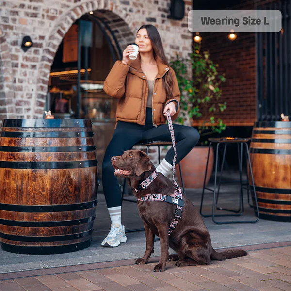 Dog Harness + FREE D-ring - Image 54