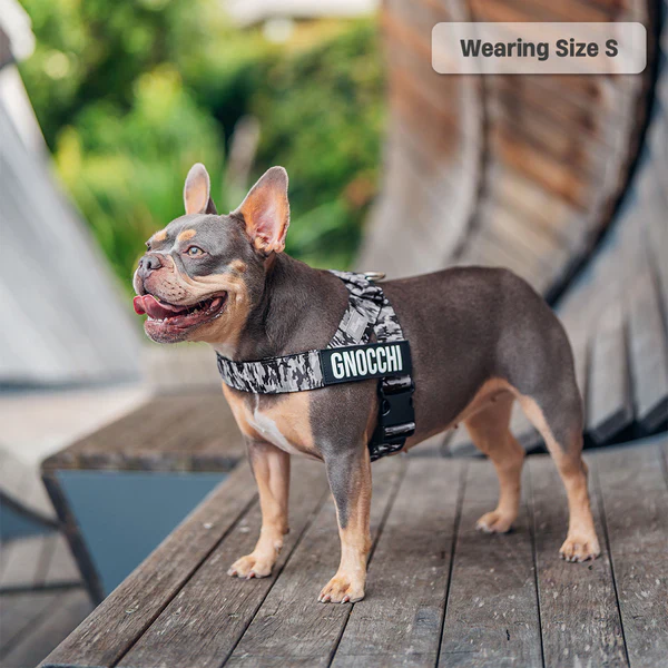 Dog Harness + FREE D-ring - Image 58