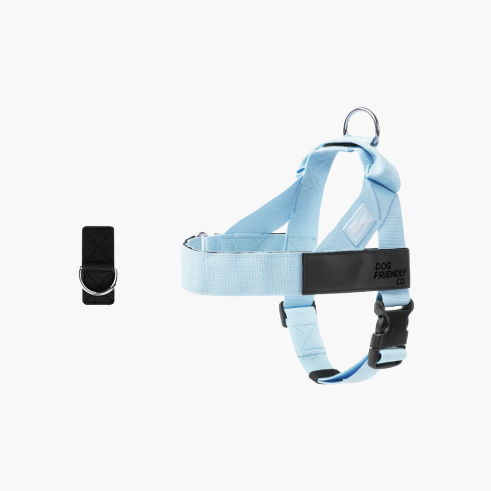 Dog Harness + FREE D-ring - Image 6