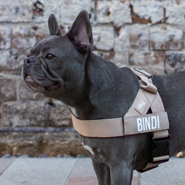 Dog Harness + FREE D-ring - Image 61