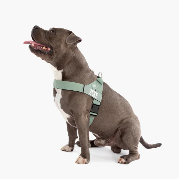 Dog Harness + FREE D-ring - Image 68