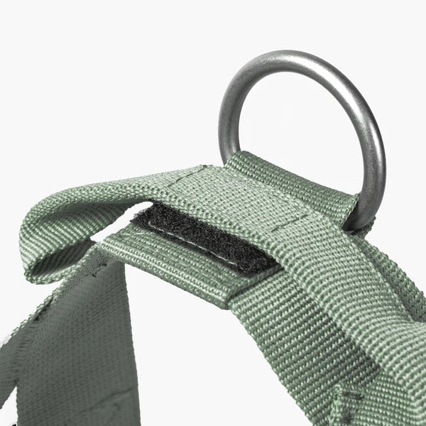 Dog Harness + FREE D-ring - Image 71