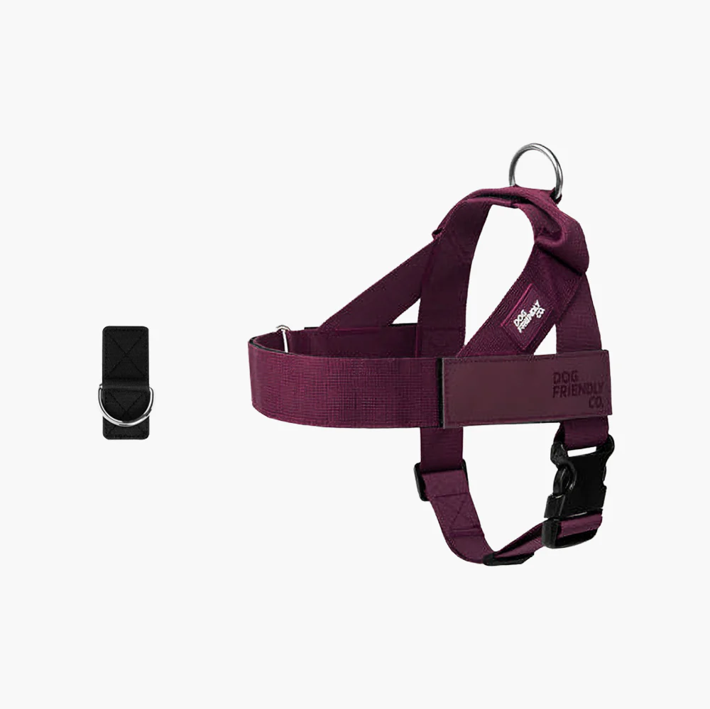 Dog Harness + FREE D-ring - Image 72