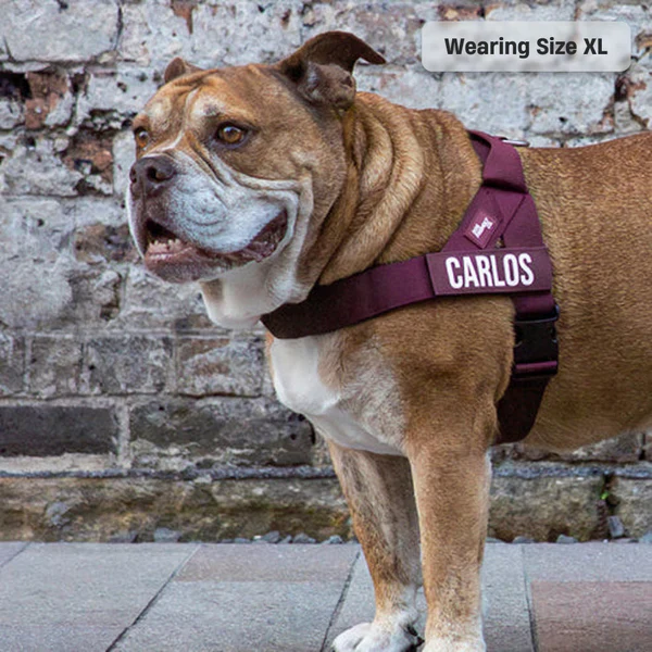 Dog Harness + FREE D-ring - Image 73