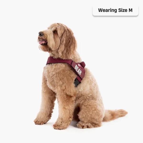 Dog Harness + FREE D-ring - Image 74