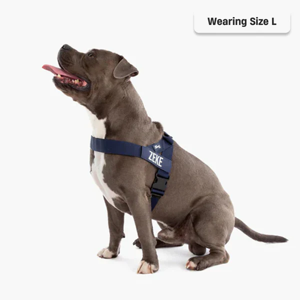 Dog Harness + FREE D-ring - Image 78