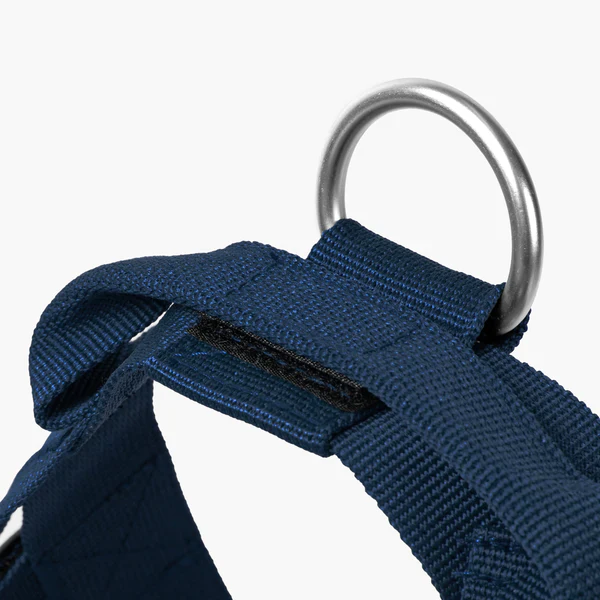 Dog Harness + FREE D-ring - Image 79