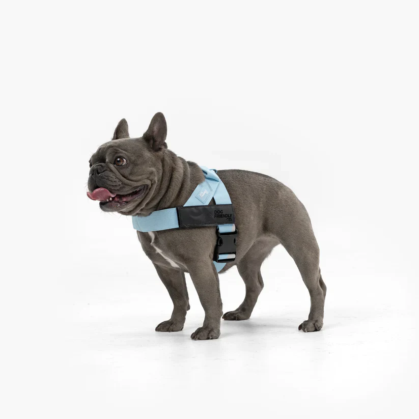 Dog Harness + FREE D-ring - Image 8