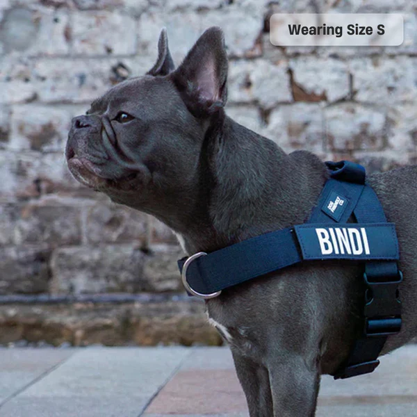 Dog Harness + FREE D-ring - Image 80