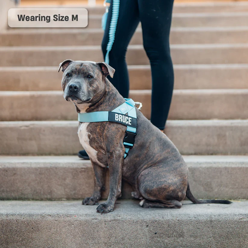 Dog Harness + FREE D-ring - Image 9