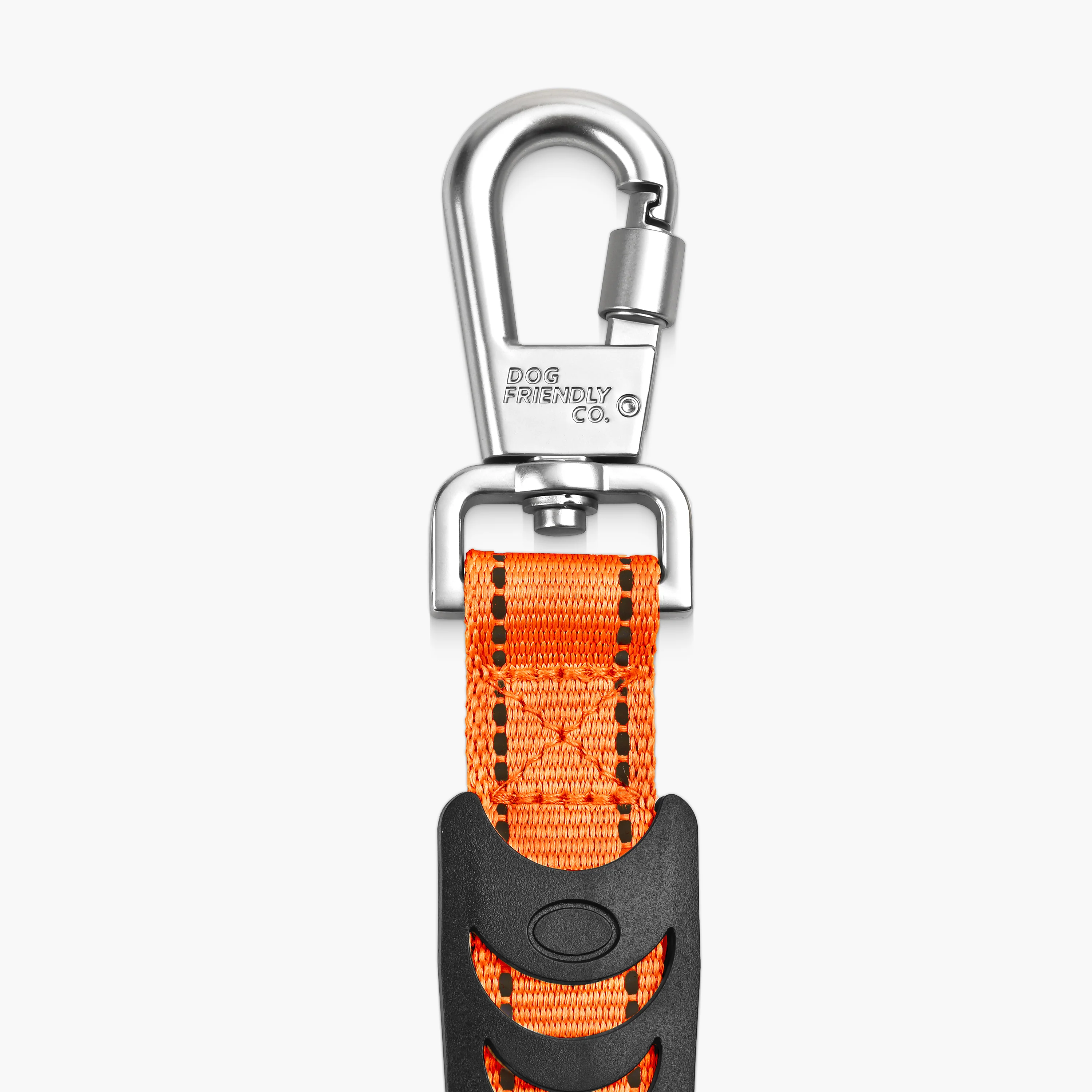 Bungee Dog Leash - Image 27