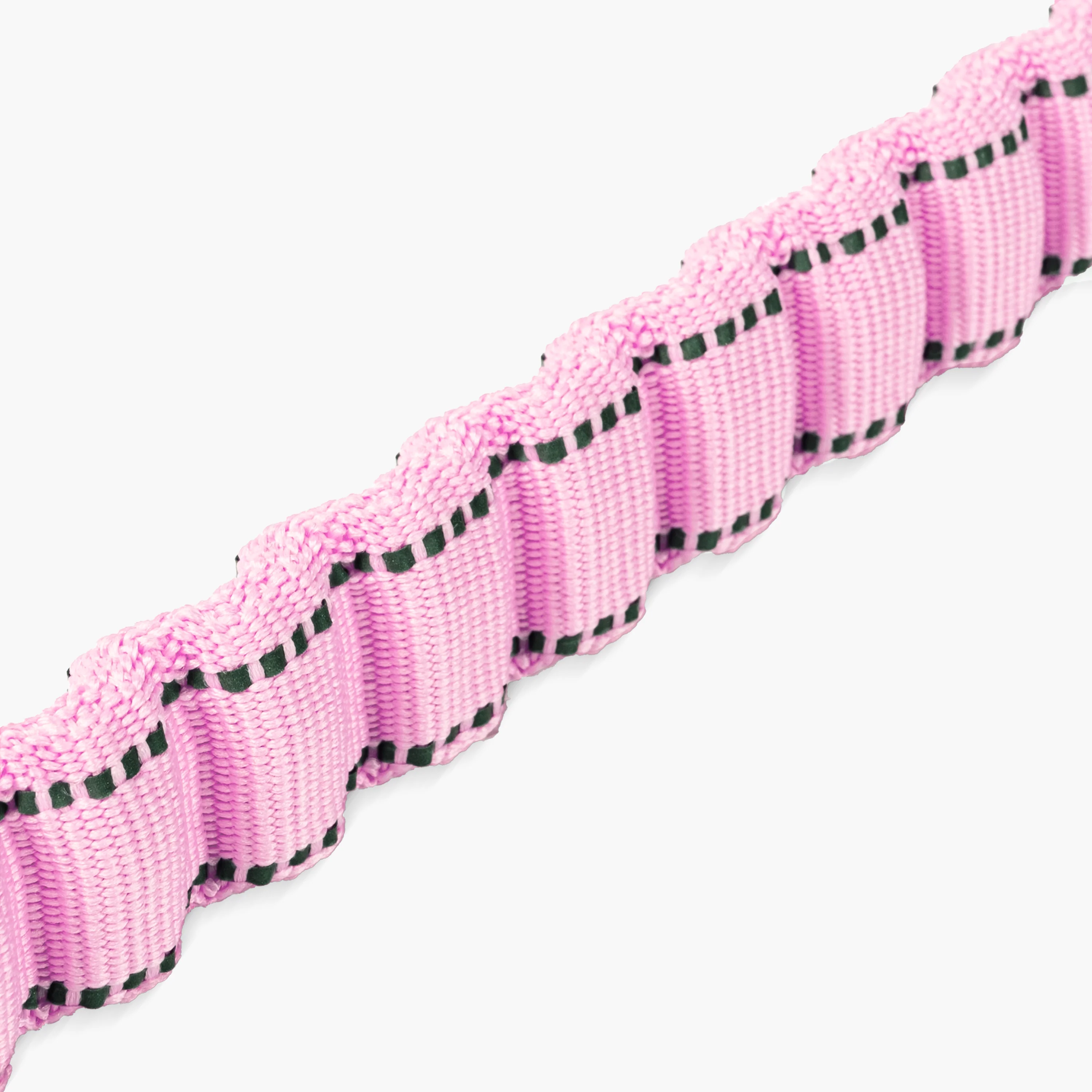Bungee Dog Leash - Image 33
