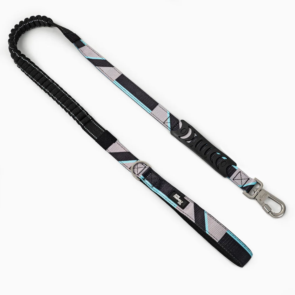Bungee Dog Leash - Image 5